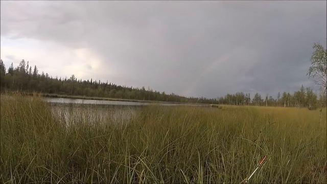 Карелия, одиночный поход в тайгу и рыбалка на спиннинг смотреть онлайн