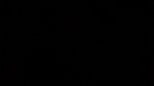 Viola By Luiz Amorim, Copy Of Andrea Guarneri 'Primrose', 1697