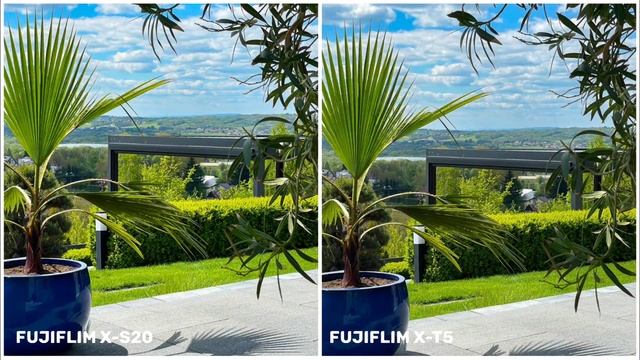 Fujiflim X-S20 VS Fujiflim X-T5 | Camera Test & New Details