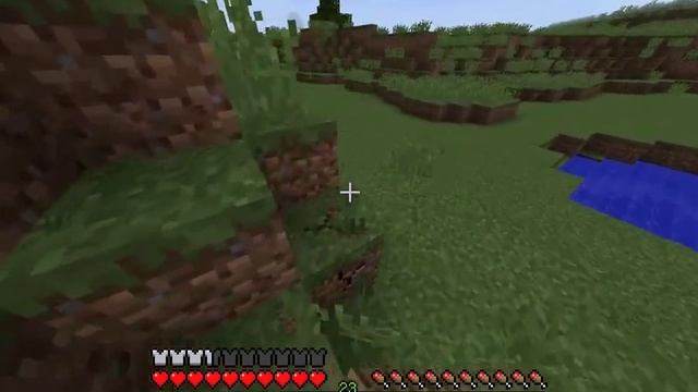 Как я кормлю своих любимых курочек в Minecraft смотреть онлайн