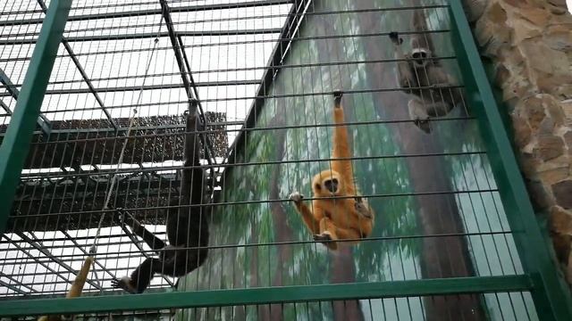 Скоро новые уроки черчения смотреть онлайн