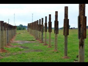 Строительство откормочной площадки для КРС в КФХ Александра Москвина.