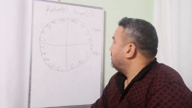 Bitki besin elementi eksiklikleri nasıl oluşur, etkileşim ve antagonizm nedir смотреть онлайн