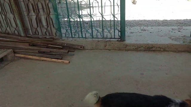 Жара страшная у нас. смотреть онлайн