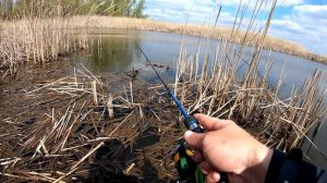 КАРАСИ на ПОПЛА ПОППЕР на КАЖДОМ ЗАБРОСЕ