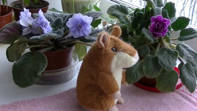 Говорящий Хомяк читает новогодние стихи детские Снег, снег, снег обсыпает ветки смотреть онлайн