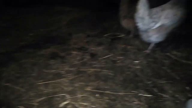 СтройКомплекс