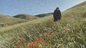 Весна в горах Узбекистана