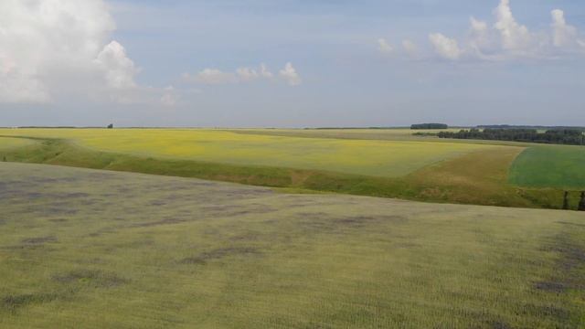 Сернурский район смотреть онлайн