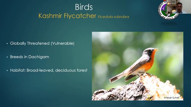 Conservation Perspectives from Jammu & Kashmir: Faunal Diversity of Dachigam National Park смотреть онлайн