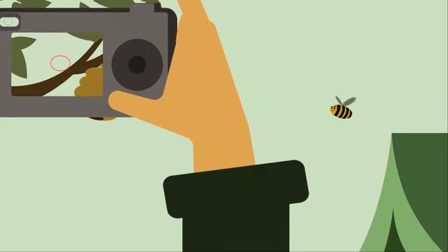 Графический дизайн. 2017. Егор Курьянов. Упаковка смотреть онлайн