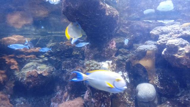 дім моря смотреть онлайн