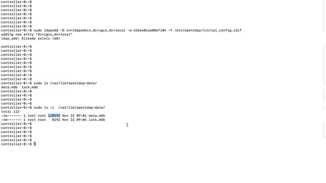 How to Remove all records from LDAP смотреть онлайн