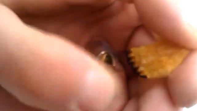 Чипсы ГОРЯТ!!!! смотреть онлайн