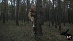 Как залезть на дерево без веток.