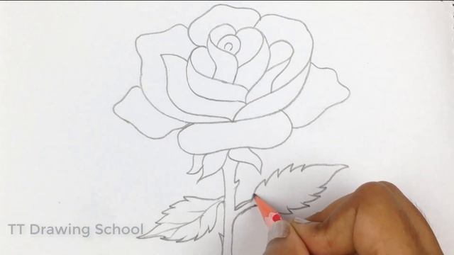 How to draw Rose for Beginners смотреть онлайн