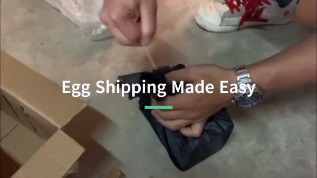 ORI_1130 Standardized Egg Trap for Black Soldier Fly смотреть онлайн