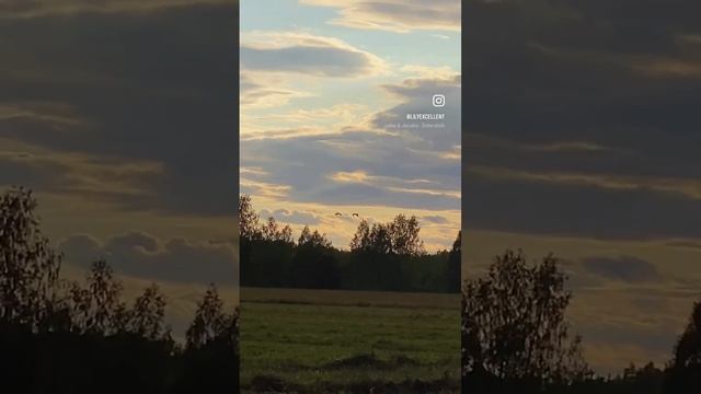 #доммилыйдом #тверскаяобласть #деревняволосково #shorts смотреть онлайн