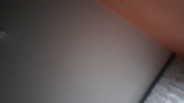 полный обзор приложения botim