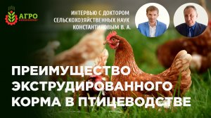 Применение экструдированного корма для птиц. Особенности кормления птицы.