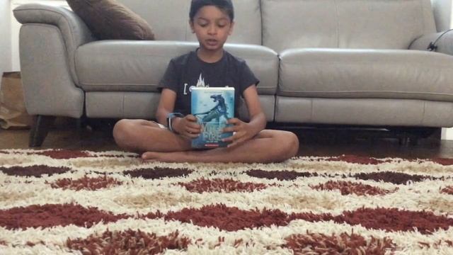 Wings of Fire Book 2: The Lost Heir | DIY EXPLORERS смотреть онлайн