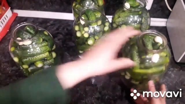 Солёные огурцы на зиму. Duzlu xiyar qışa смотреть онлайн
