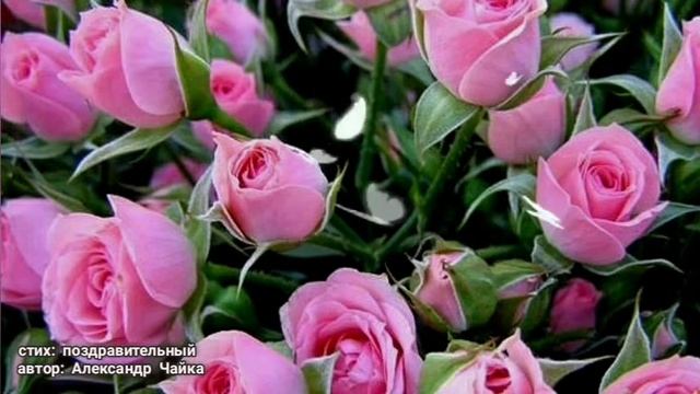 Поздравительный стих (С Днём Рождения) автор: Александр Чайка смотреть онлайн