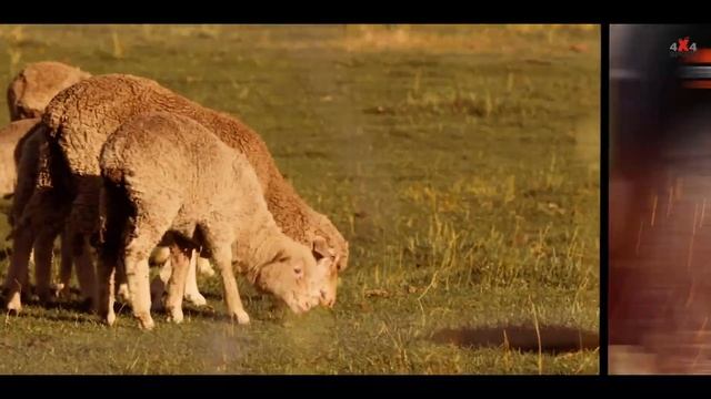 Новинка! MAXXIS RAZR HT - флагман шоссейных шин C повышенной проходимостью для внедорожников