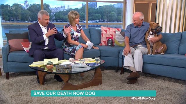 Save Our Death Row Dog | This Morning смотреть онлайн