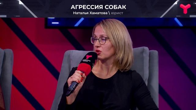 Когда у соседа злая собака смотреть онлайн