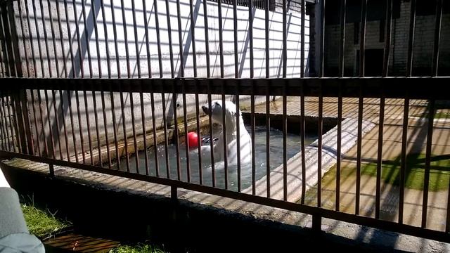 Tallinn ZOO смотреть онлайн