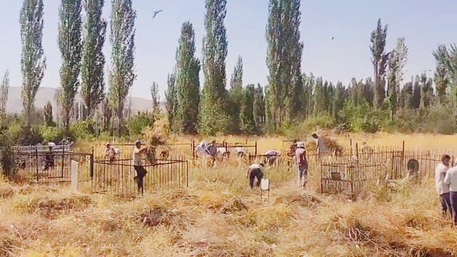 Бек обод кабристон хашари 20-06-2022 йил смотреть онлайн