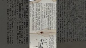 ИНСТРУКЦИЯ МВ-50 вышивальная тамбурная #швейная машина #sewing machine