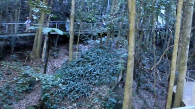 МОЕ ЖИЛЬЕ В АВСТРАЛИИ I АВСТРАЛИЯ НА САМОМ ДЕЛЕ