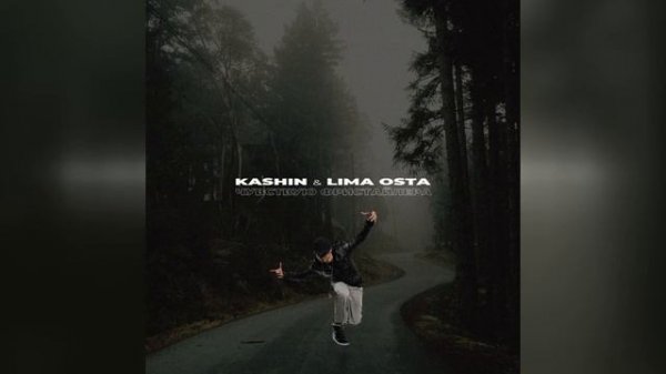 Kashin, Lima Osta - Чувствую Фристайлера (Nordbam Edit)