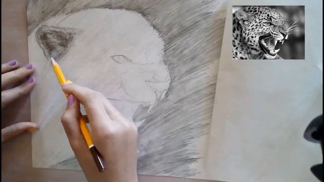 Как нарисовать леопарда карандашом/How to draw leopard смотреть онлайн