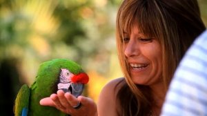 UNIQUE NATURE ACTIVITIES | Xcaret México! Cancun Eco Park