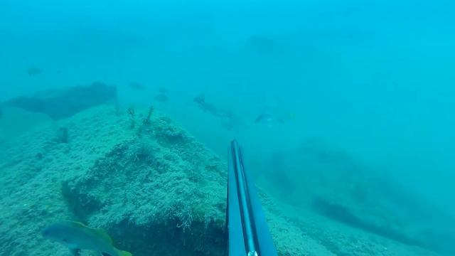 Летнее настроение (Summer mood) смотреть онлайн