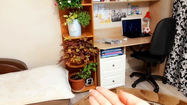 КАК УСТАНОВИТЬ И ГДЕ КУПИТЬ ЛАМПЫ ДЛЯ ДОСВЕЧИВАНИЯ ЧЕРЕНКОВ И ПОСЕВОВ. В ФИКС ПРАЙС ЗА ЛАМПАМИ. смотреть онлайн