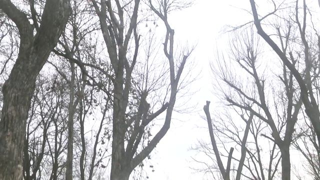 КОРОЛЁВ новогоднее поздравление смотреть онлайн