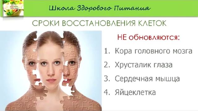 Школа Здорового Питания Вводное занятие №1 смотреть онлайн