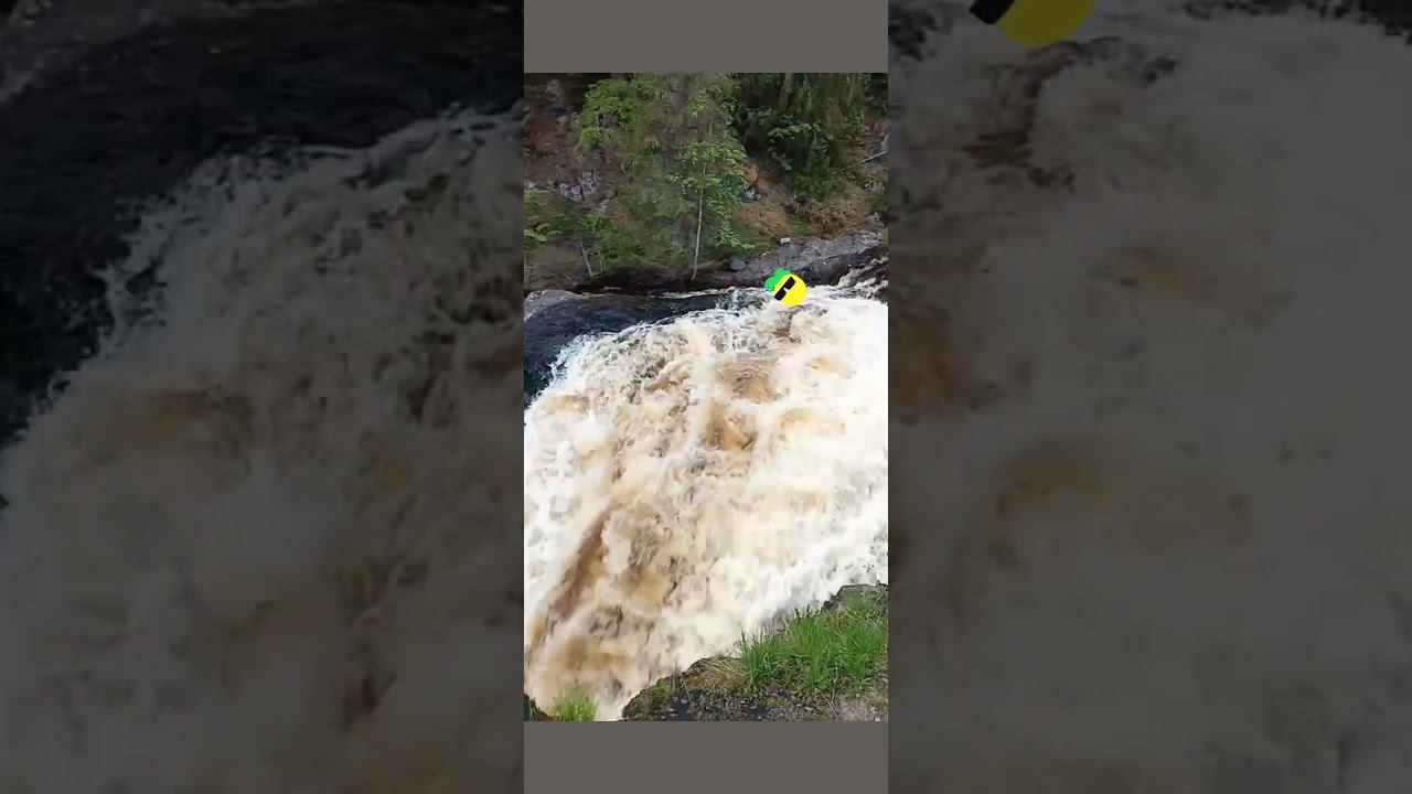 respect 2508240730 #asmr #nature #humor #jarelik смотреть онлайн