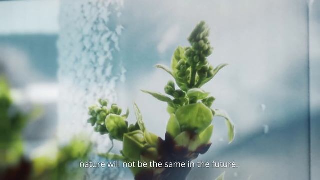 Save the Seasons смотреть онлайн