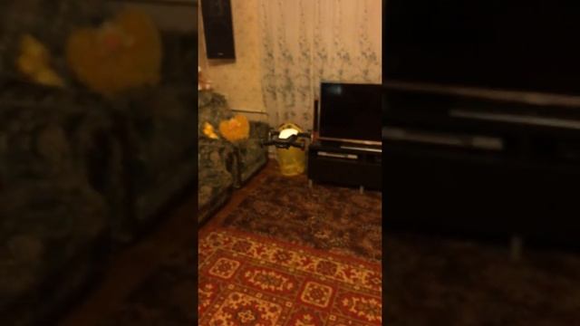 Dji Mavic Air с пропеллерами от DJI Spark