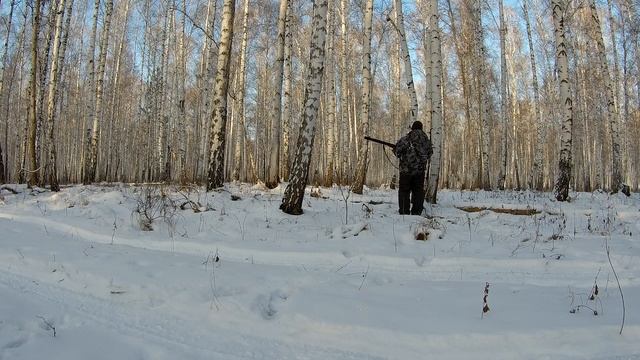 Охота на косулю смотреть онлайн