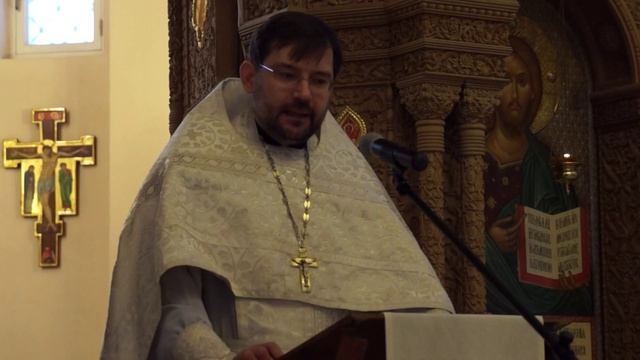 2015-01-25 10:31 Проповедь отца Дмитрия Сизоненко на (Мф 4, 12-17): смотреть онлайн