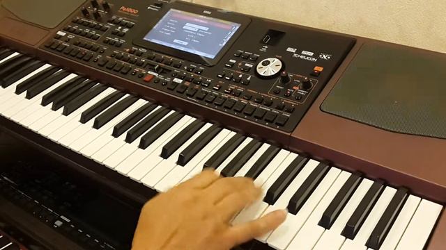Yerevan Piano House Presents KORG PA 1000 смотреть онлайн
