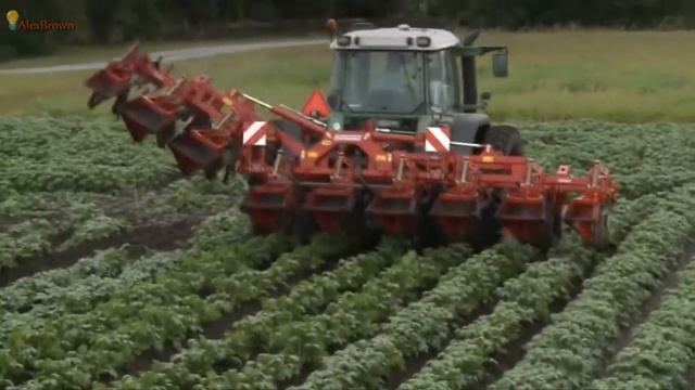 Посадка и сбор картофеля - самое удивительное современное сельскохозяйственное оборудование в мире смотреть онлайн