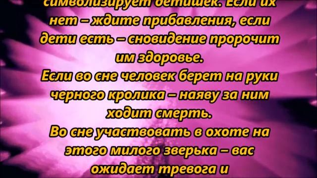 К чему снится кролик смотреть онлайн