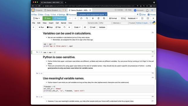 01 - Variables & Assignment смотреть онлайн